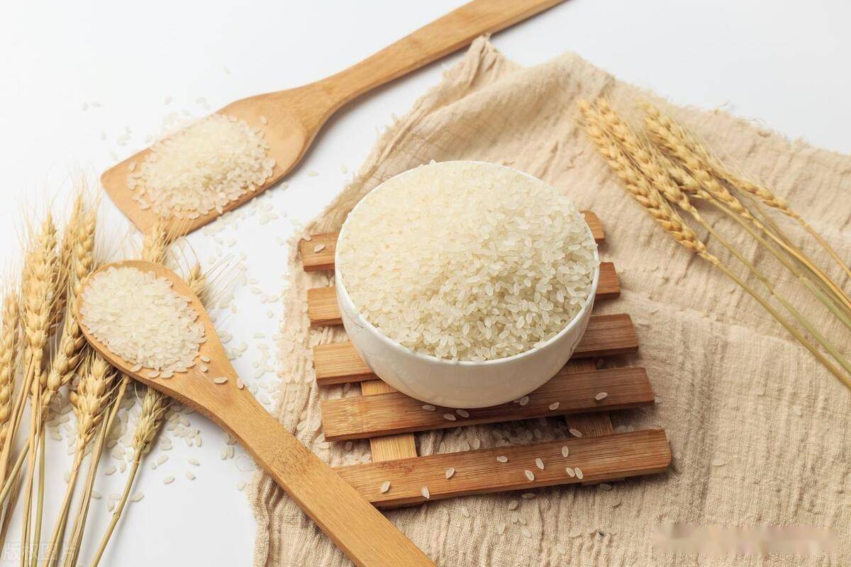 因为苏童的《米》,认识苏米,品尝苏米,爱上苏米_水韵苏_征文_评选