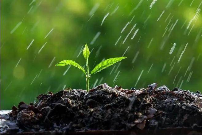 传统节气 | 雨水:春风携春雨 万物萌新生