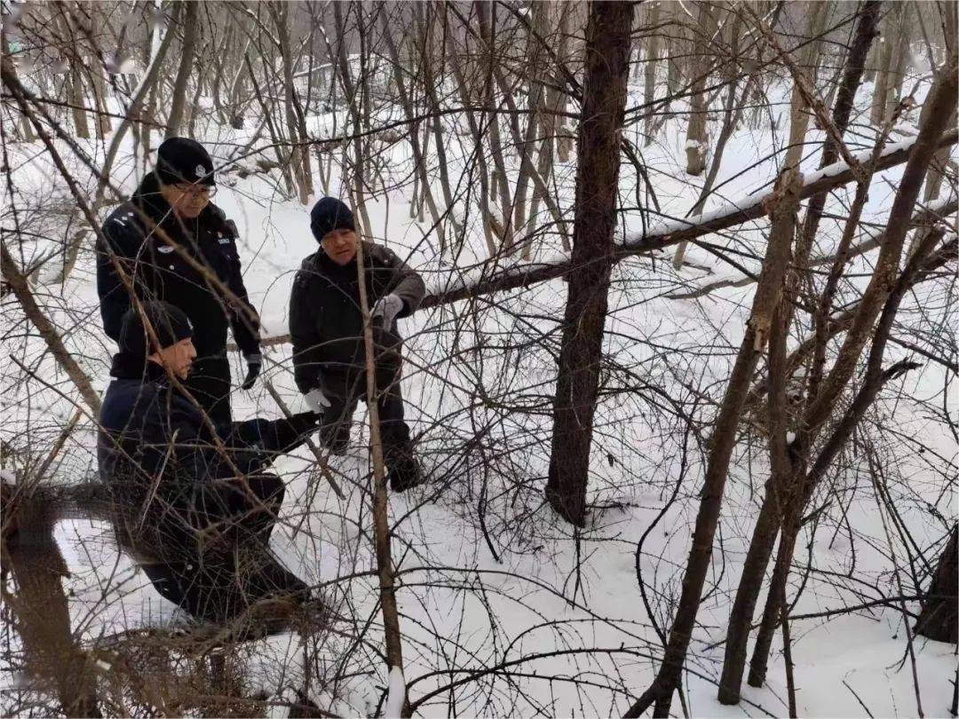 【生态立企】苇河林业局有限公司:"巡山清套"在行动