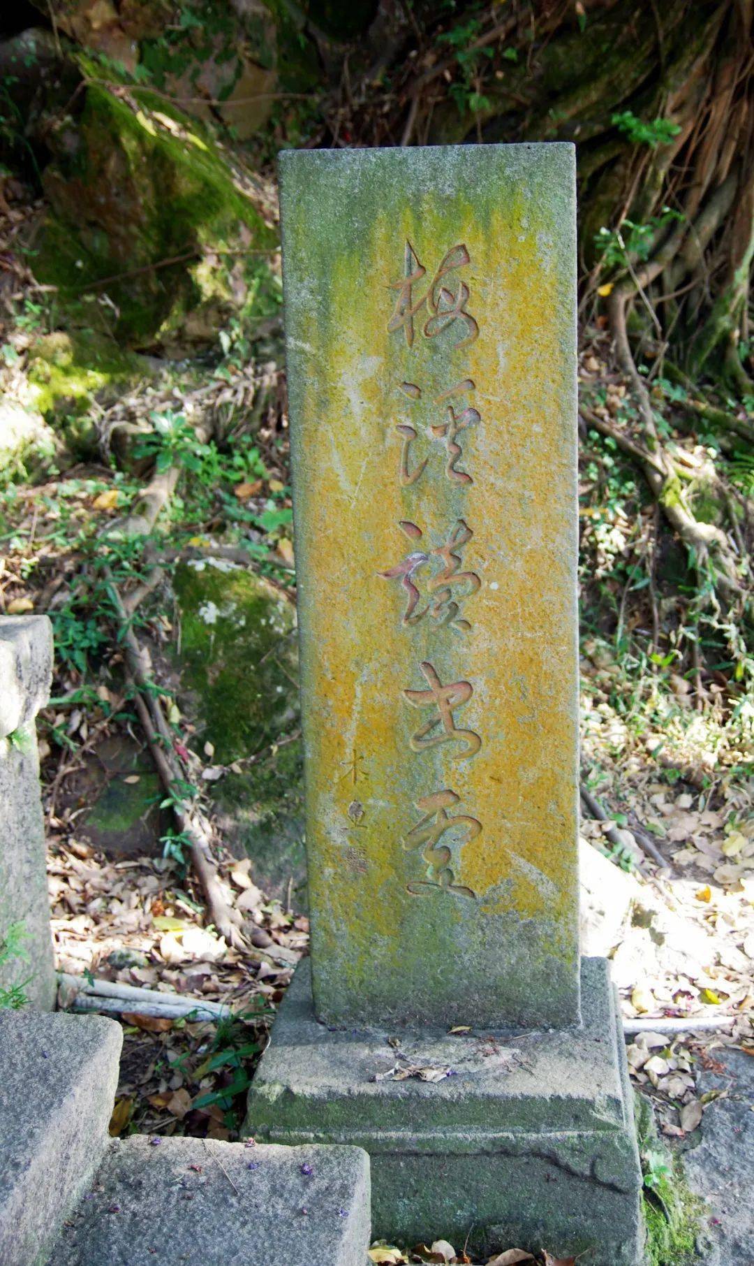 【瓯江潮漫游】 江心岛屿 历史低语与诗意徜徉_温州_岁月_建筑