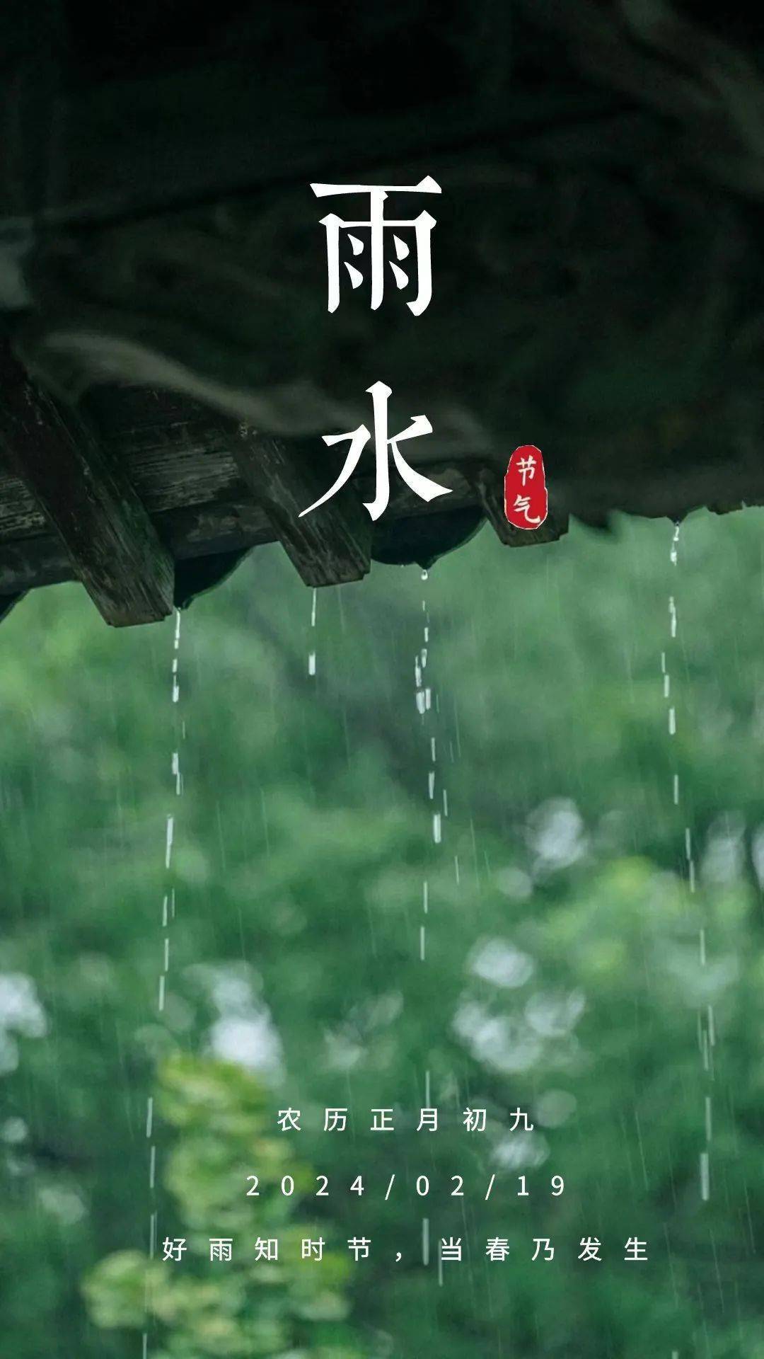 春天里的节气雨水图片图片