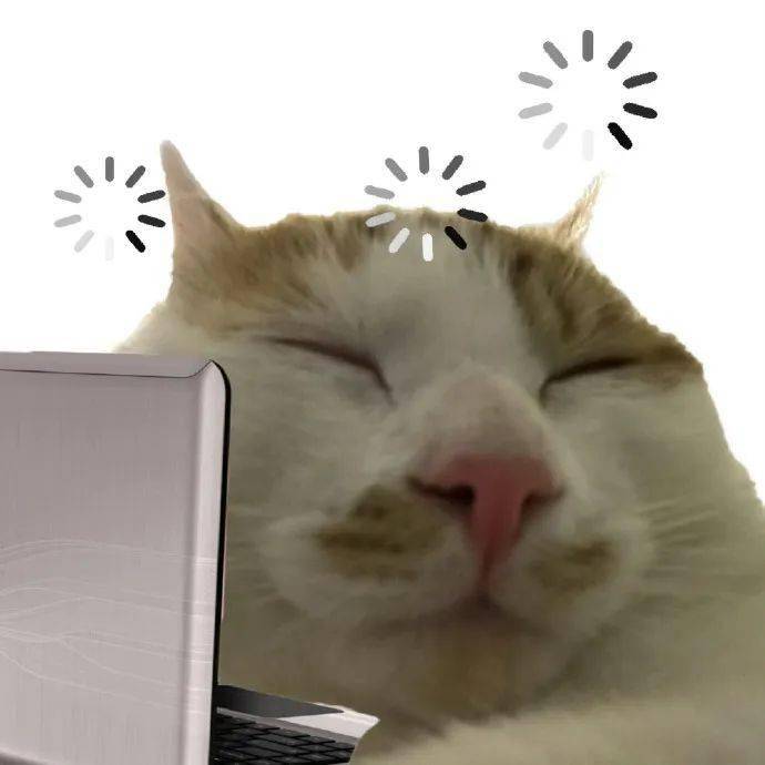 周一 打工人实用发疯表情包