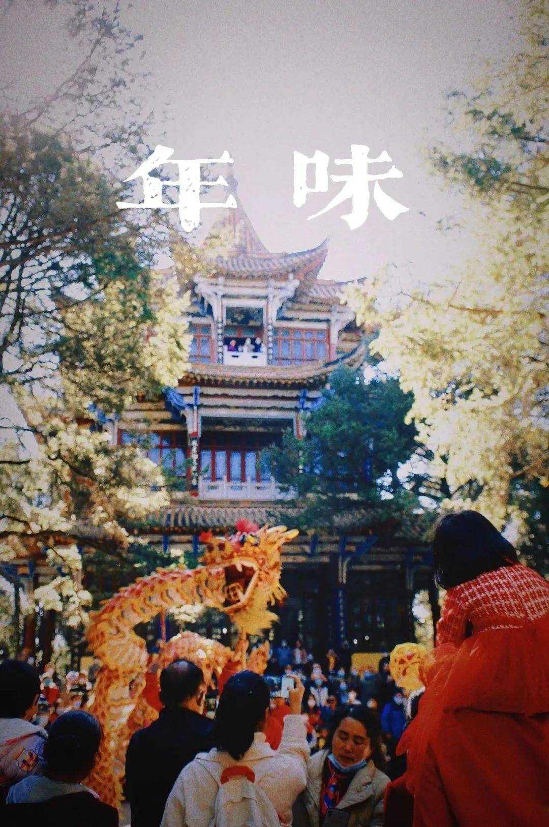 这个春节,盘龙"热辣滚烫"_旅游_文化_昆明世博园