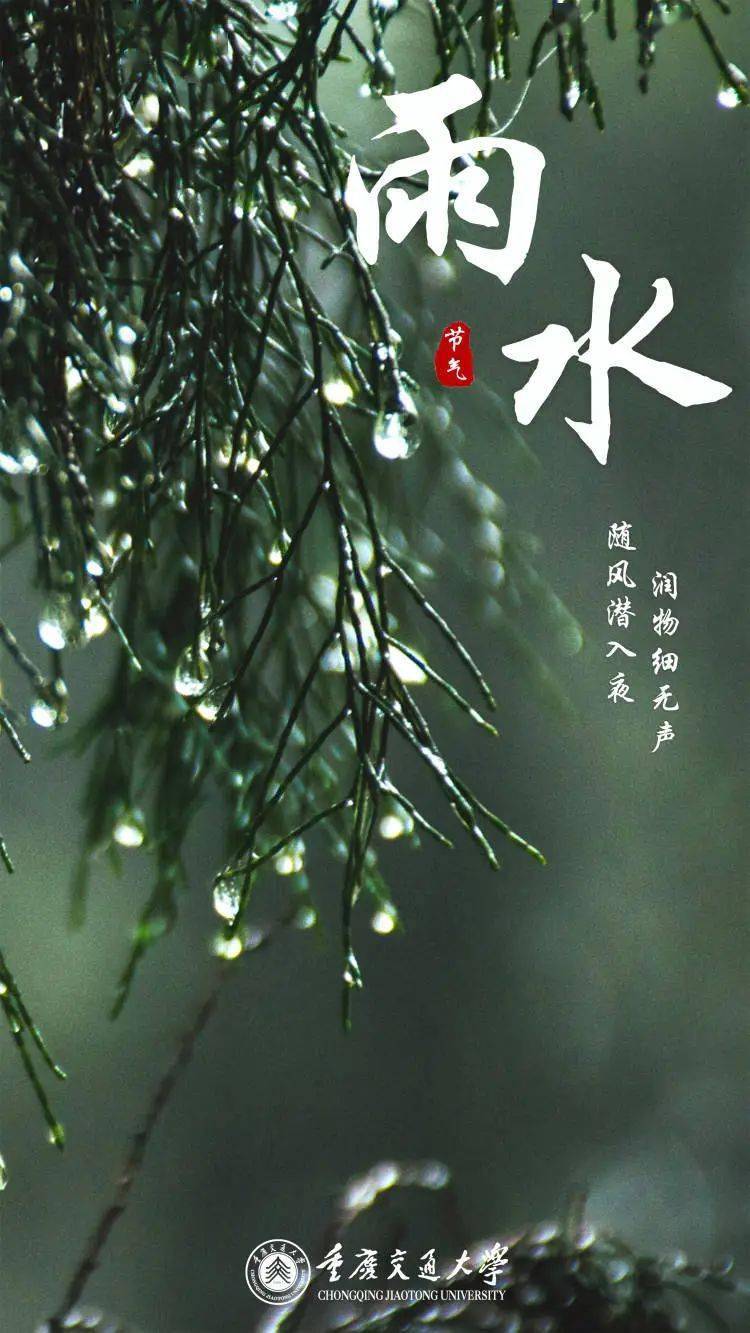 雨水|随风潜入夜,润物细无声_重庆_图片_万物