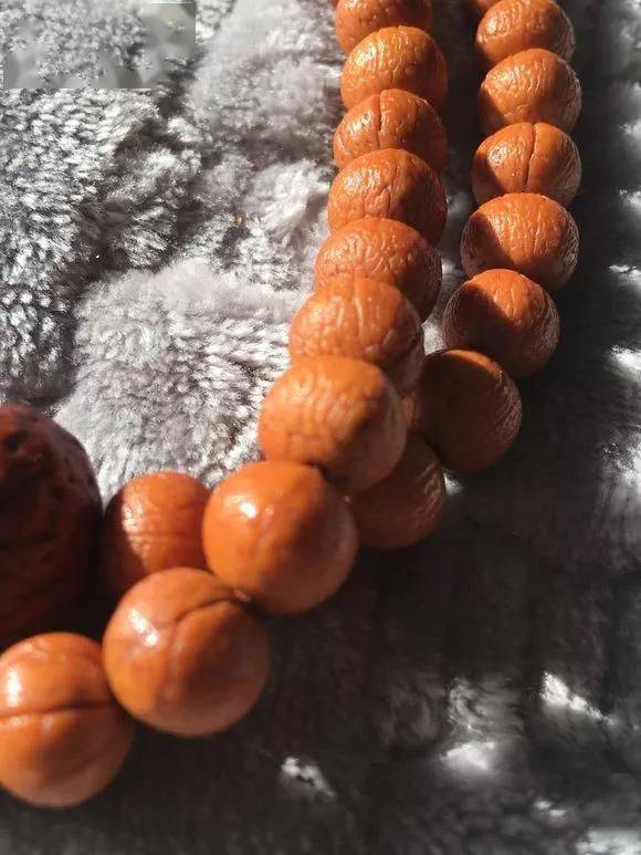 路边就能摘,包浆后馋哭所有人!_榆叶梅_盘玩_文玩