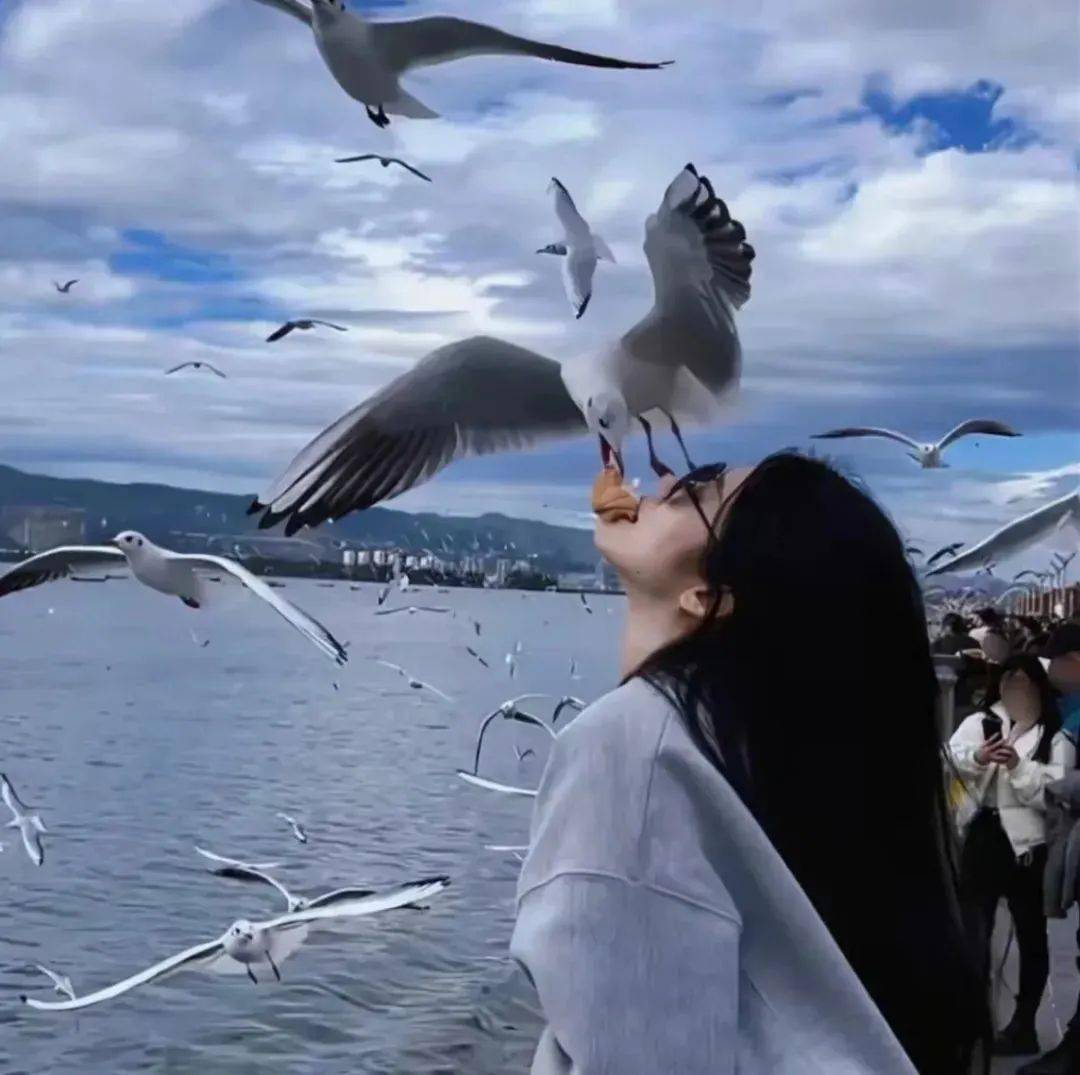 头像| 自由感头像_揭人_侵权_商业用途