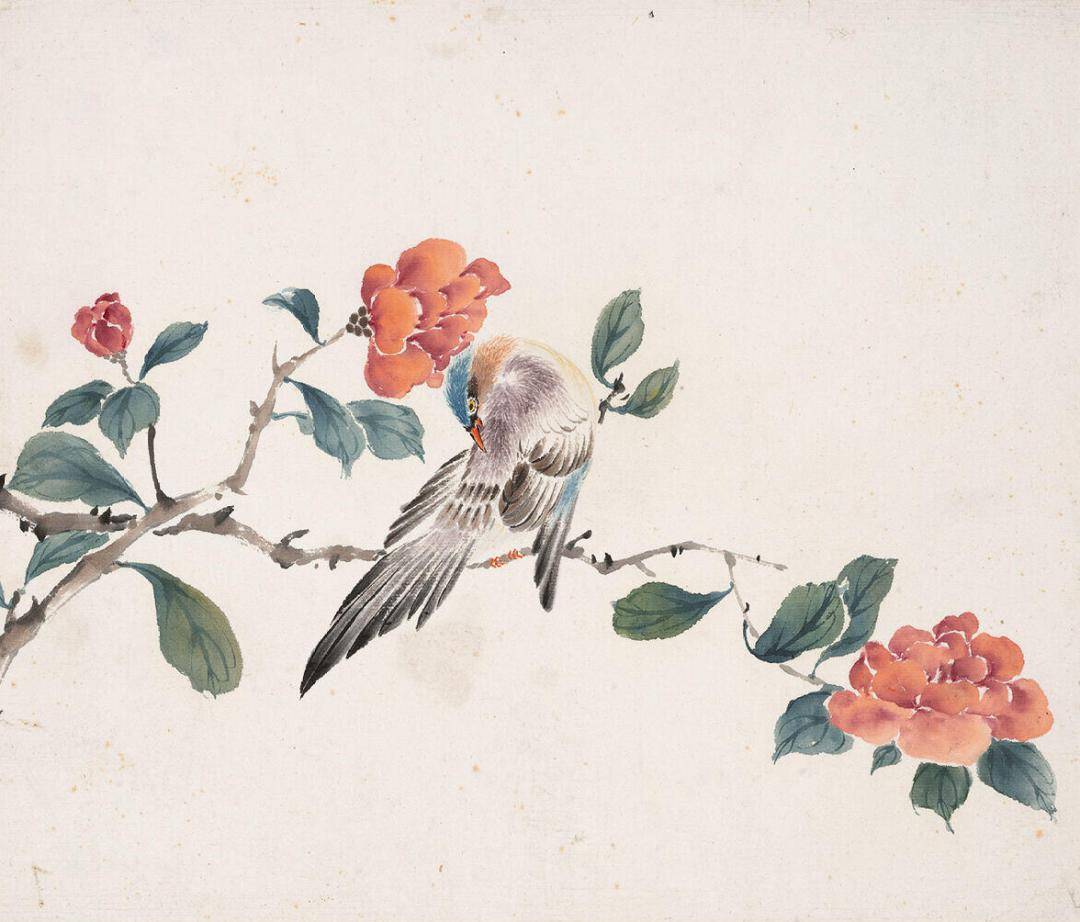 周炼霞花鸟册十二开,真美!_经典_高清_螺川