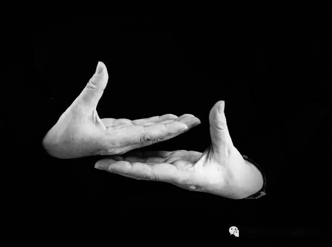 【同济导师介绍】李振宇:有趣的学长,宽厚的师长,尽