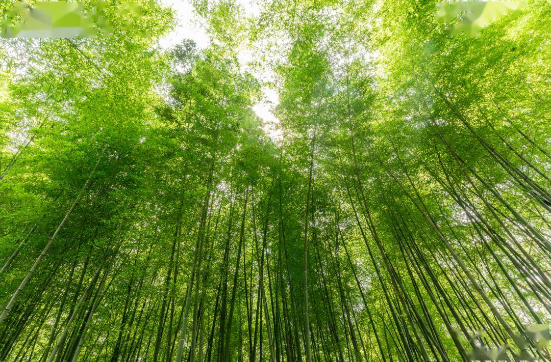 当孩子说"我太累了,不想学了",给他看看这三大定