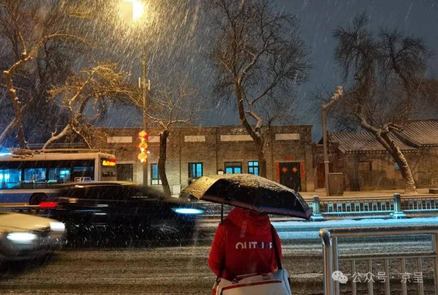 大年十一,北京大雪!【拍客有图】
