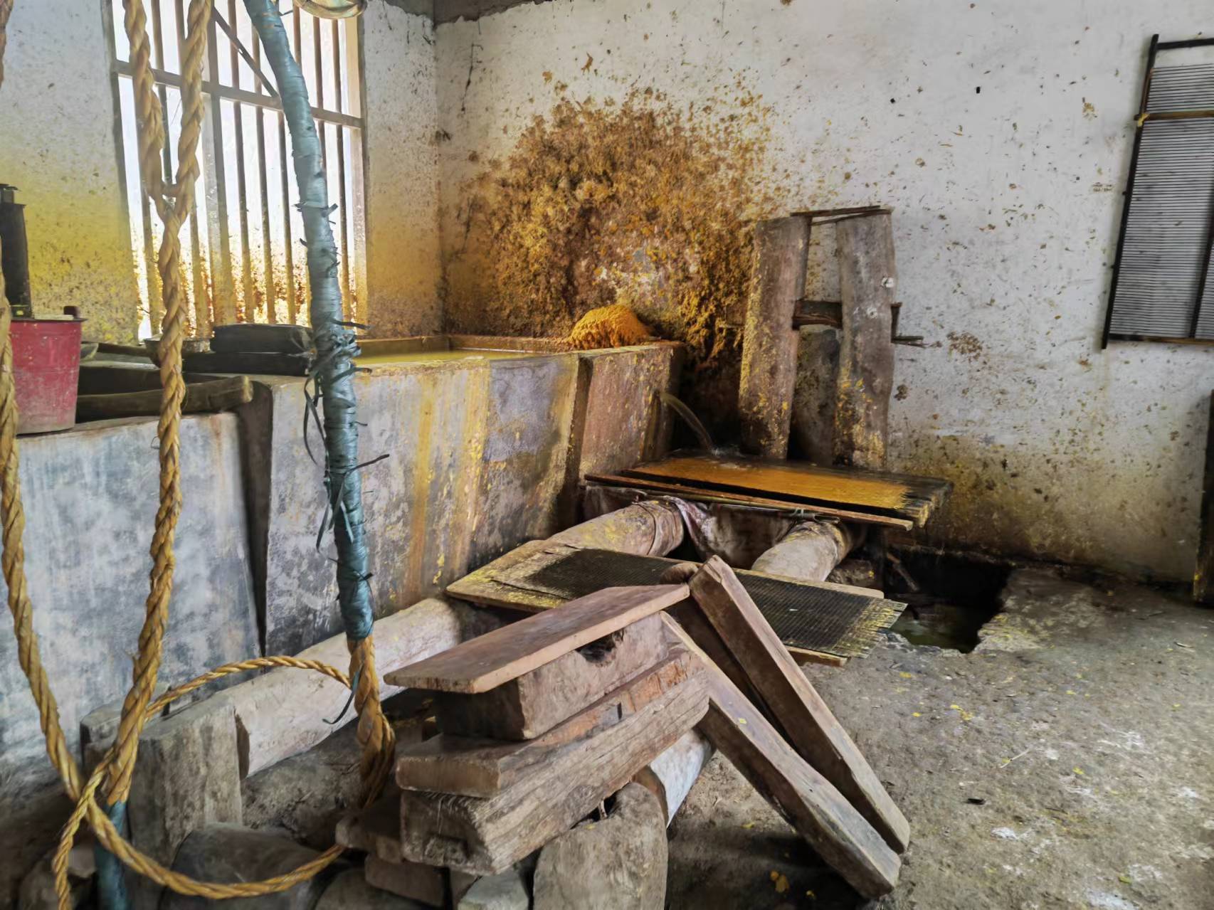 非遗里的龙年|滩头年画③:用100天,将一棵竹子变成