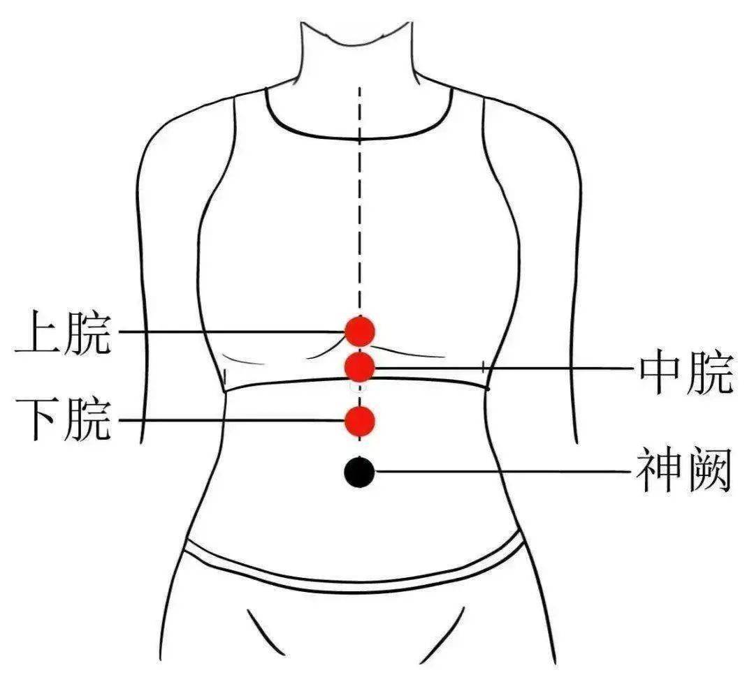 脾虚湿气重按摩位置图图片