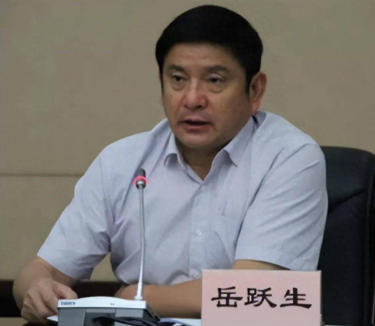 当过市长的岳跃生,再被处理