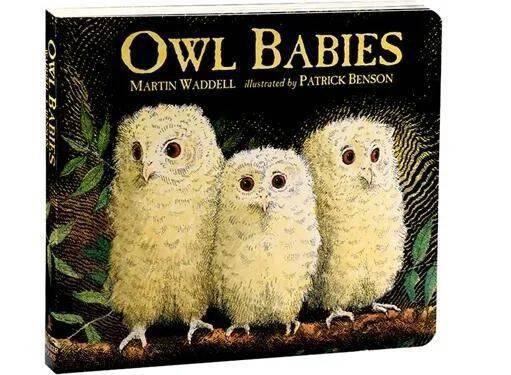 "做书就是一场赌博,我们并不能100%赌赢"_沃克_玛丽亚·唐尼_合作