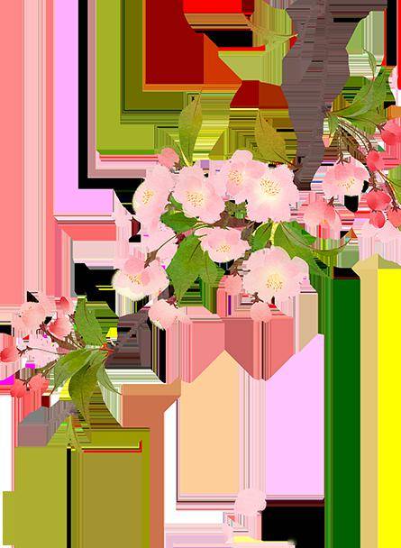 青团上市哉!_团子_苏州_味道