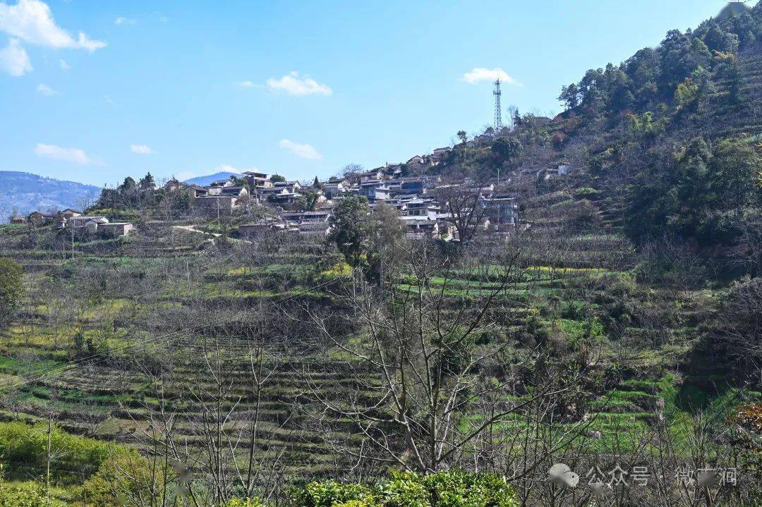 王绍基到宝华镇无量山镇调研,67强调借鉴"千万工程"经验,建设绿美