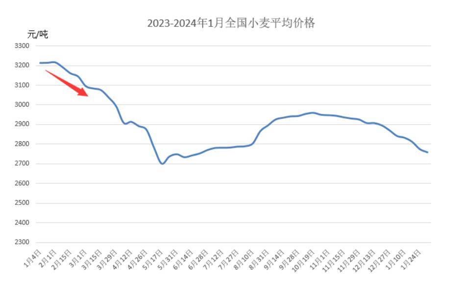 小麦节后喜迎开门红,是昙花一现还是行情反转?