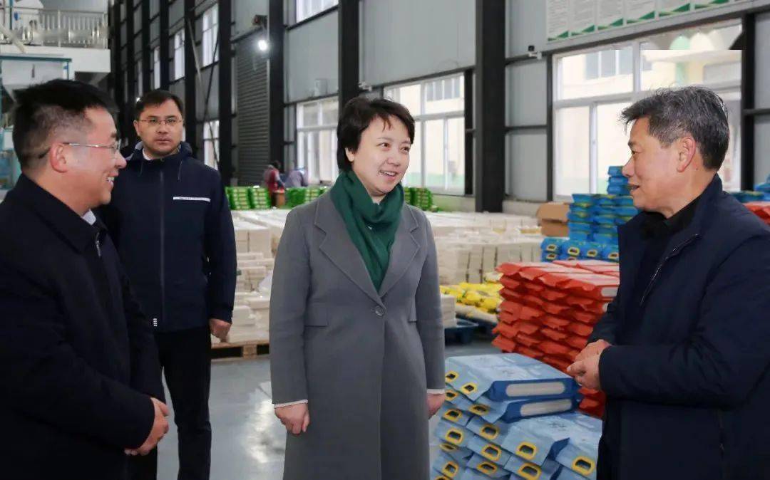 沈晓红调研岔河镇经济社会发展情况_产业_乡村_队伍