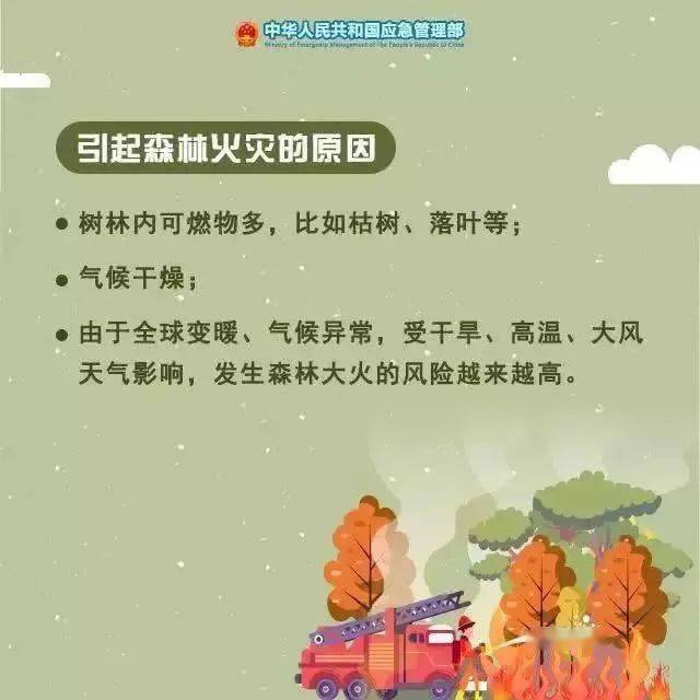 森林防火短语图片