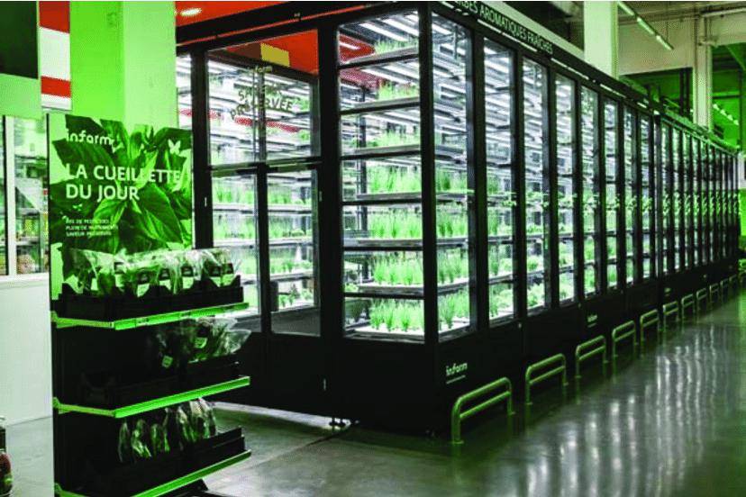 在墙上种白菜的狂想不仅实现了,还扩充至全球1200个