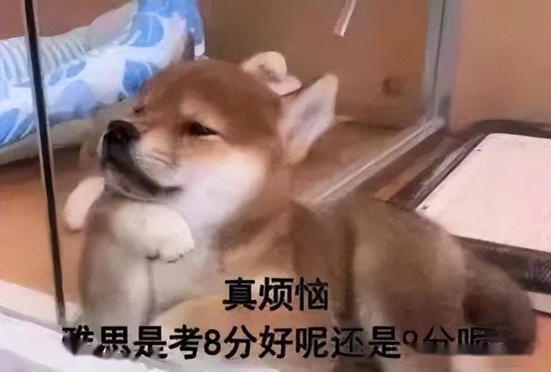 全体烤鸭,保姆级雅思机考流程全攻略,赶紧码住!_考试_时间_考生