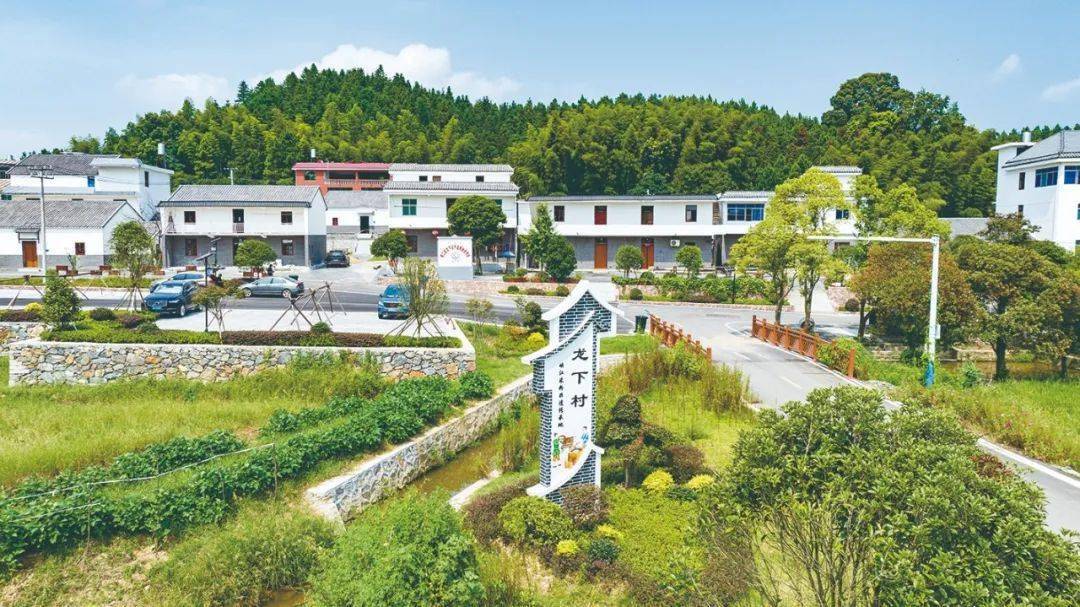 "镇"兴之路丨水边勇立潮头开新篇_水边镇_建设_发展