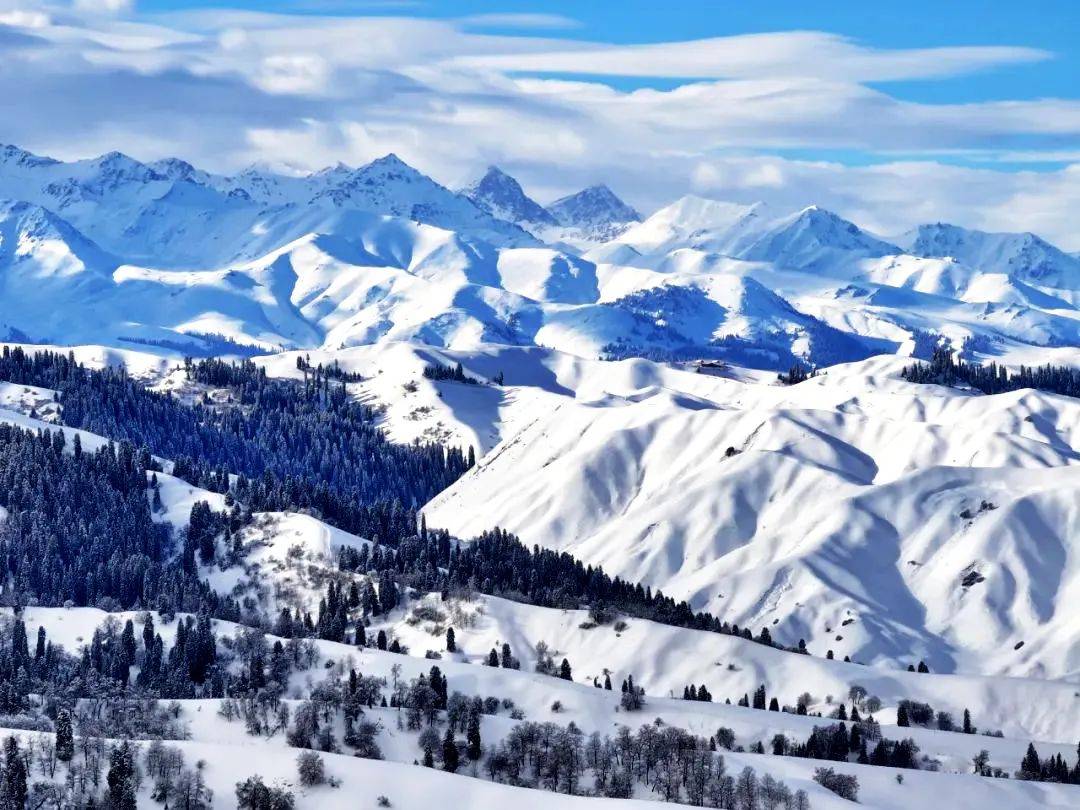 高山晶莹雪图片