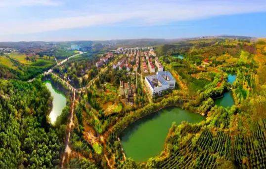 沙河:栾卸村经验是如何写进中央一号文件的?_发展_村民_集体经济