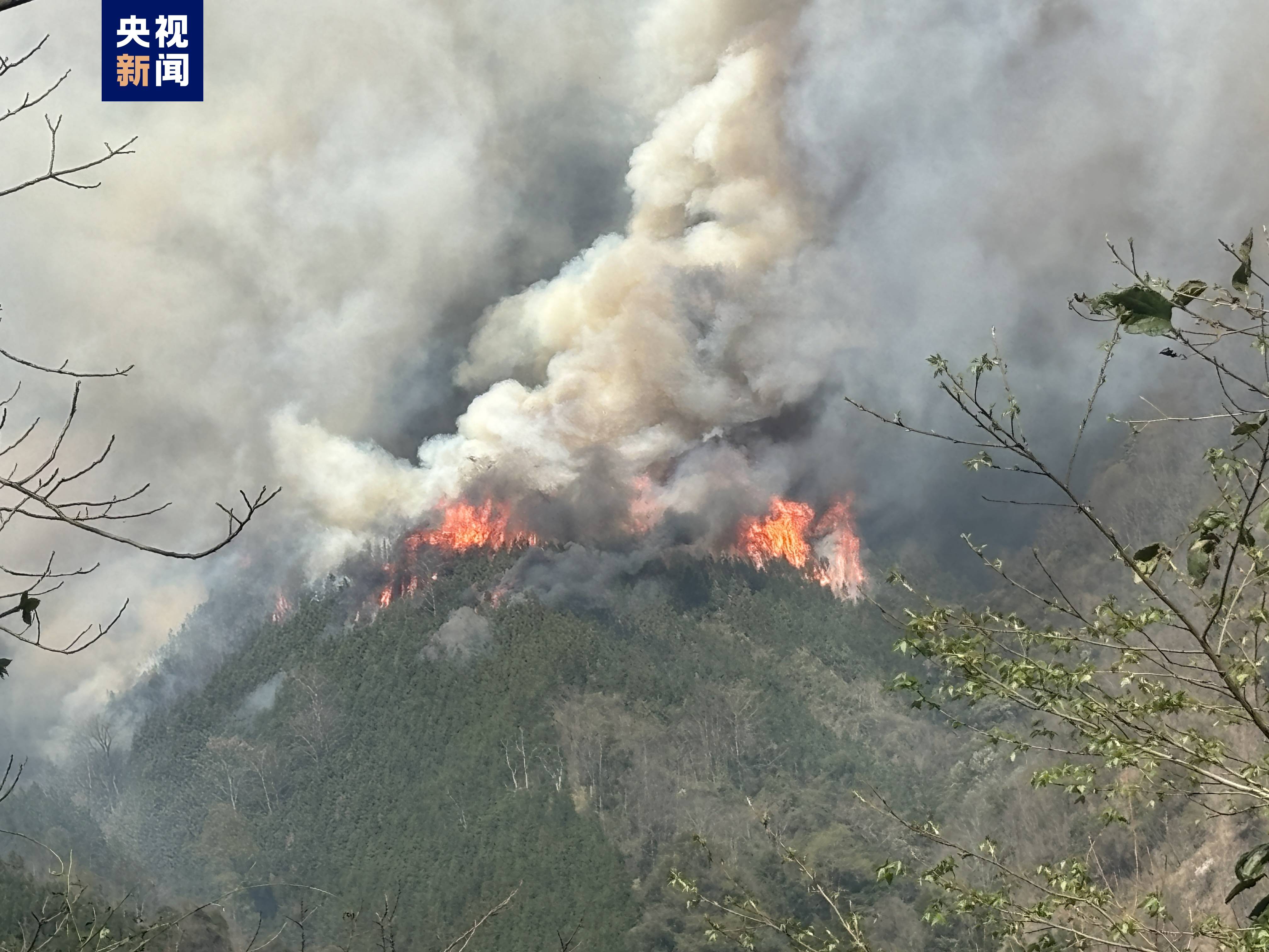 广西乐业突发山火 消防正全力扑救中_火场_救援_森林