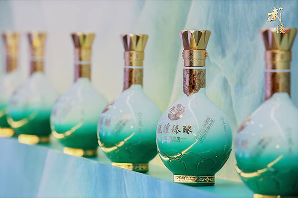 武陵酒龙年第一场盛会常德落幕_客户_终端_品牌