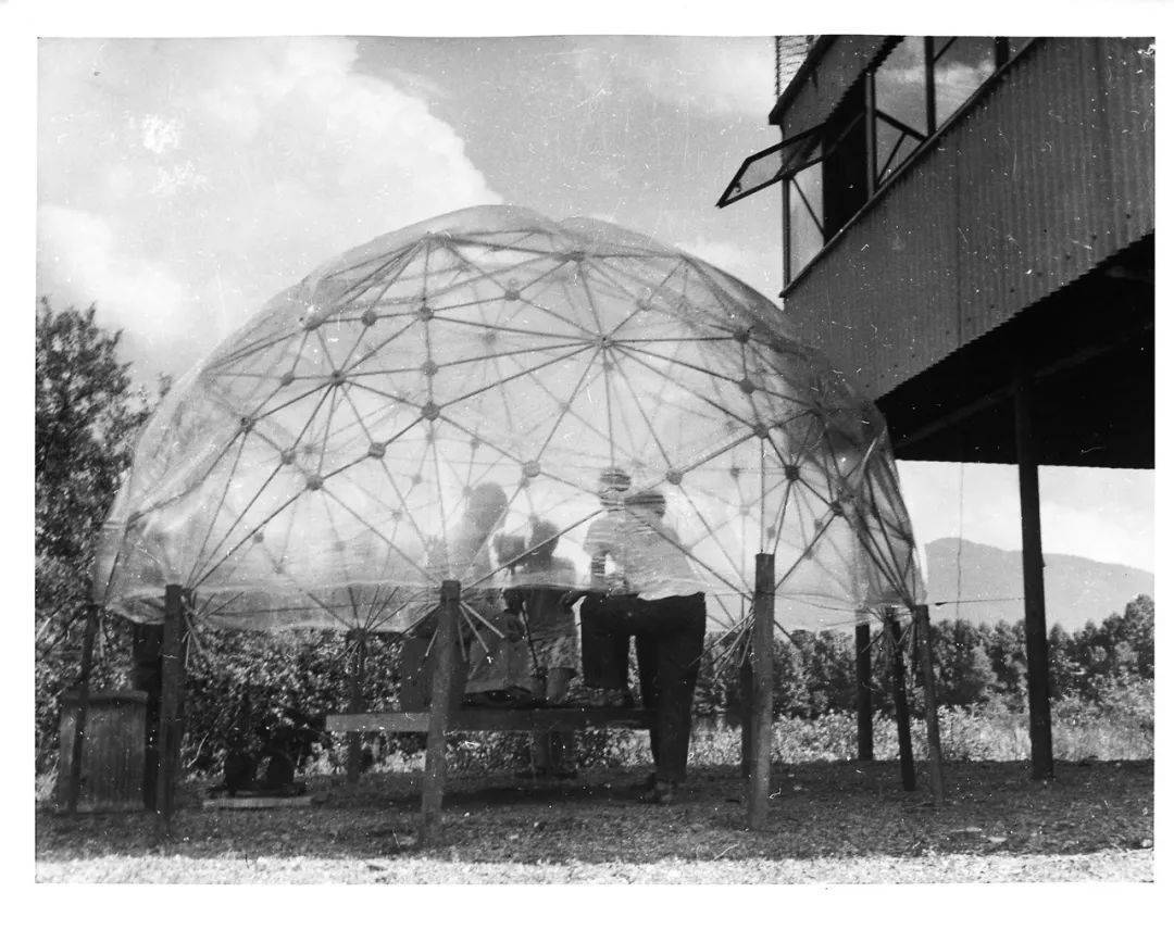 一个包豪斯倒下,一个黑山学院站起来_艺术_课程_约翰·莱斯