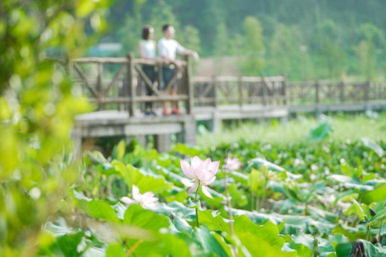 畅泡纯天然森林温泉区,鸟巢观景无边际温泉池!_养生_景区_大理