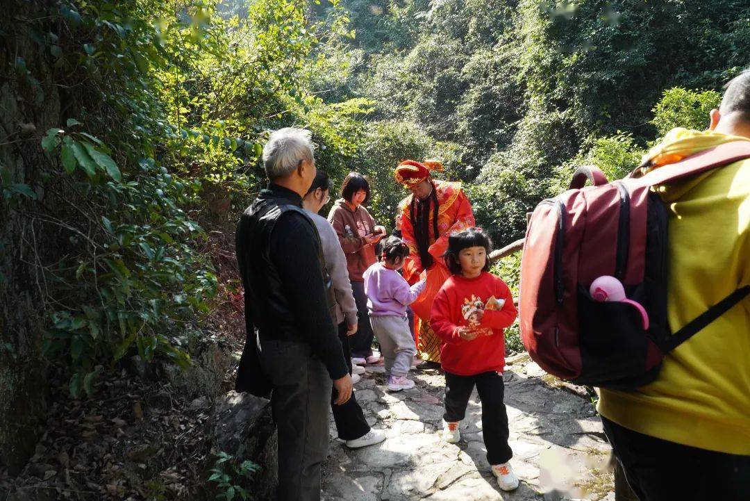 8元,每天只售888份,快转发给您的亲朋喔_南丹_森林_雨林