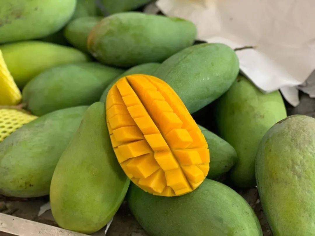 爆汁!超100万斤『越南大青芒26.