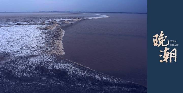写点生活|茴香苗饺子_母亲_味道_浙江