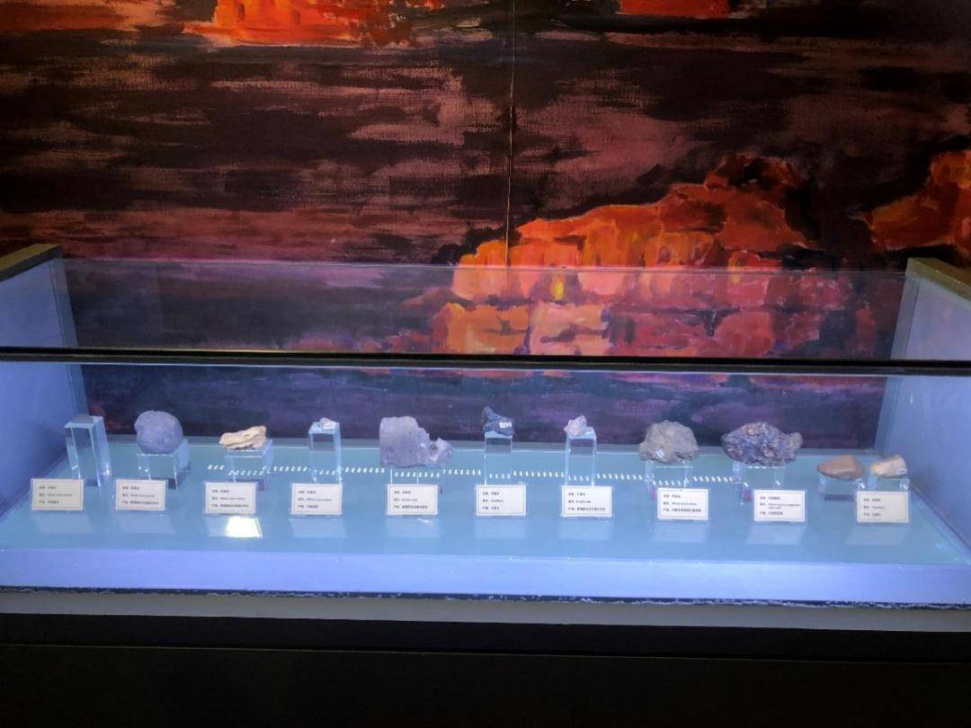 古迹——南京市金陵小学六(1)中队走进南京地质博物馆_地球_展厅_恐龙