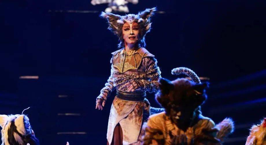 "猫神"趣谈 | 尹亮,徐元博,李园园:人猫情未了_角色_故宫_表演