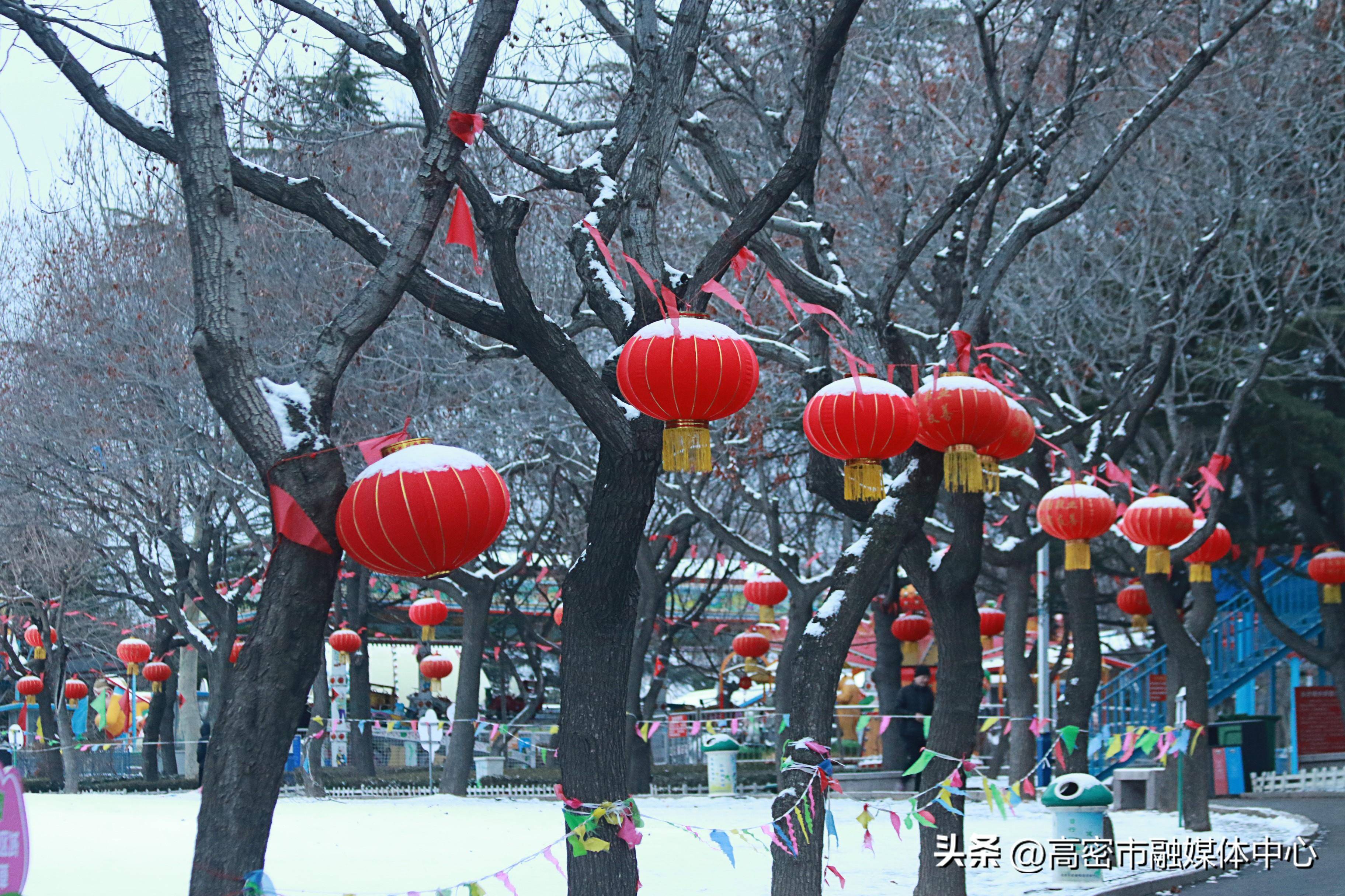 潍坊高密:雪韵美如画_李晓燕_李海涛_韵味