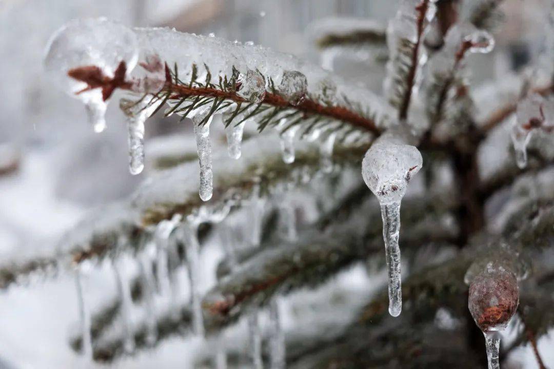 冻雨概念冻雨是一种灾害性天气,冻雨,俗称"地穿甲",也被称为"凝冻"或"