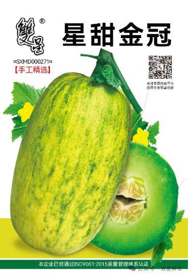 【甜瓜种植技术】甜瓜死秧的引起因素及解决措施分析介绍_砧木_秧苗