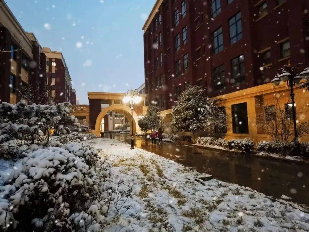 往期推荐回访母校|赴亳州市涡阳四中开展宣讲活动阳团在行动丨"展望