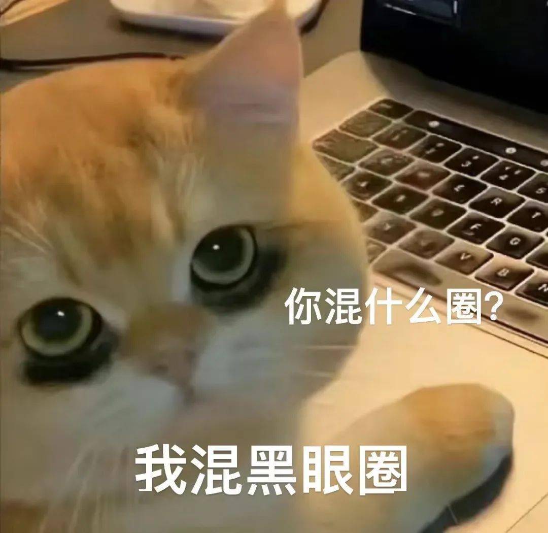 (封面表情包自取)#今日话题#你有黑眼圈的困扰吗?