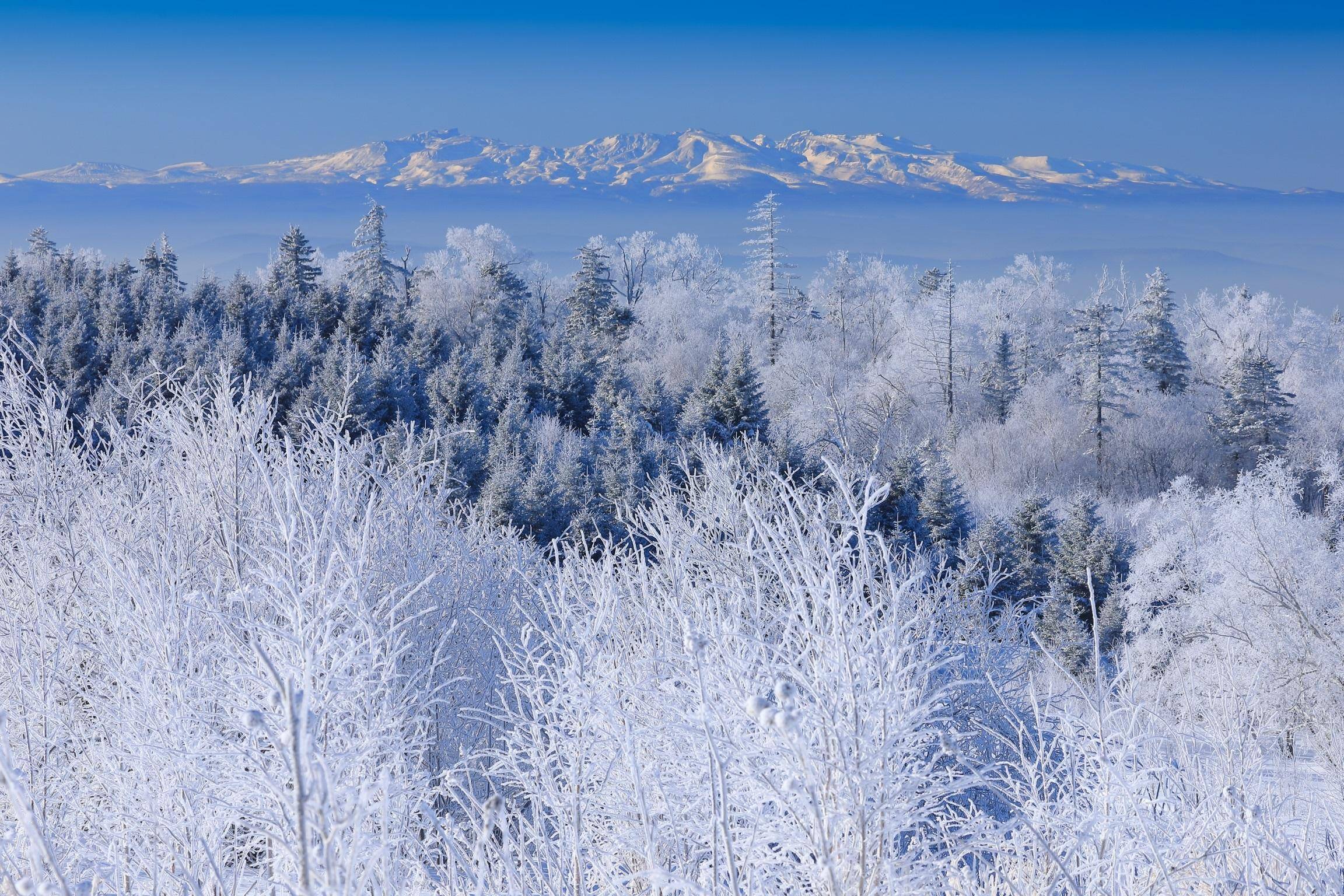 长白山雪景 摄影图片