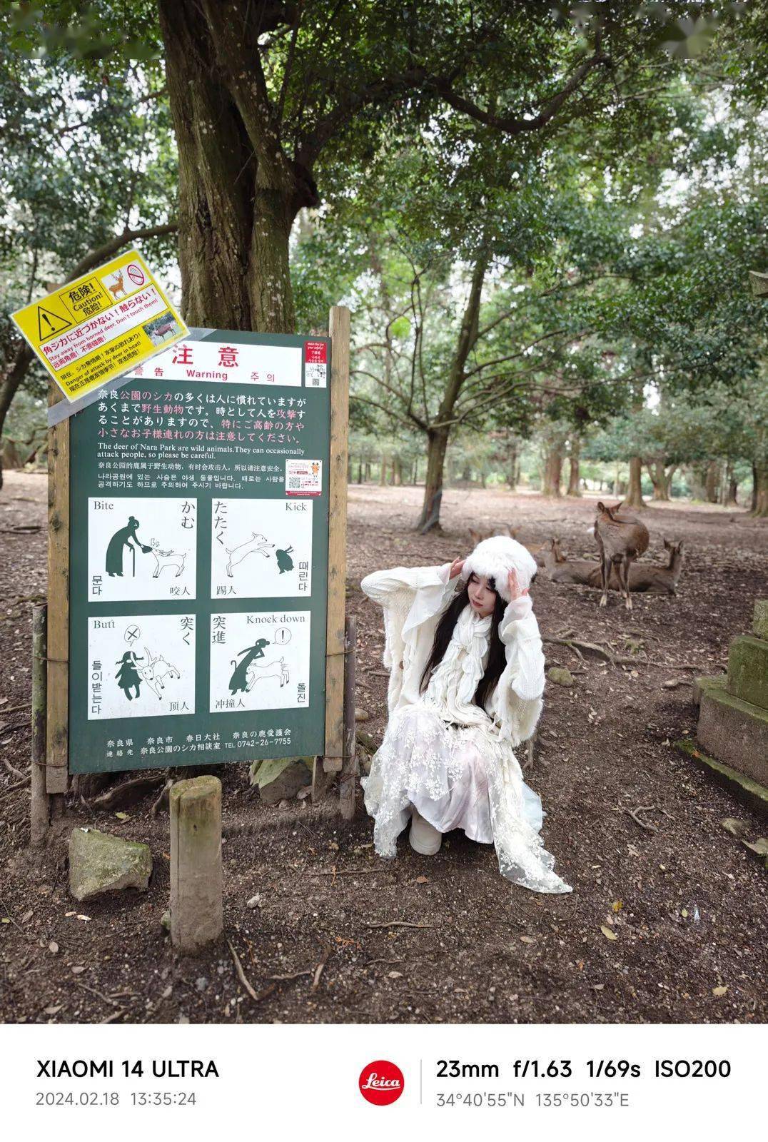 小米14 ultra评测:卫星通信加持 影像全面补强_手机_光圈_进行了