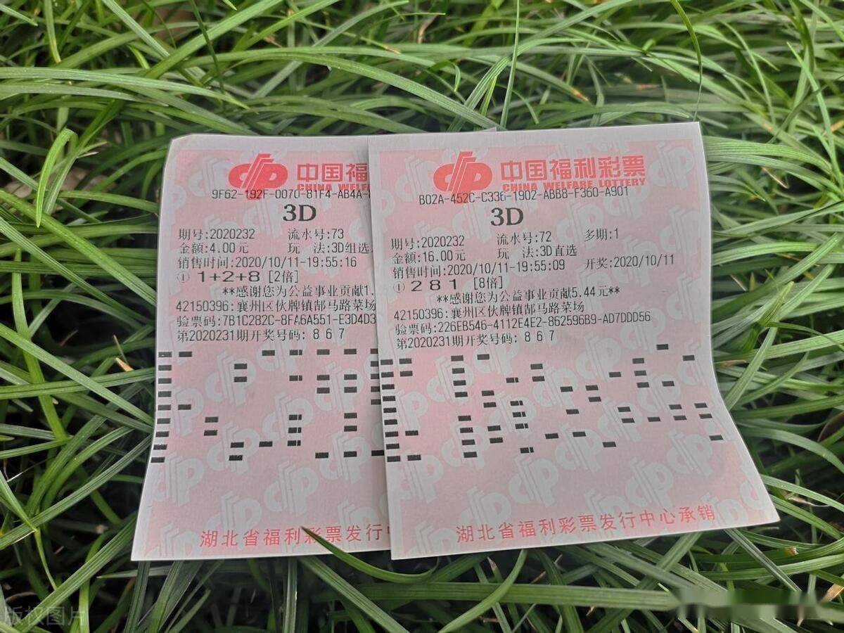 为何大家更心灰意冷了?_相关_彩票_民政部门