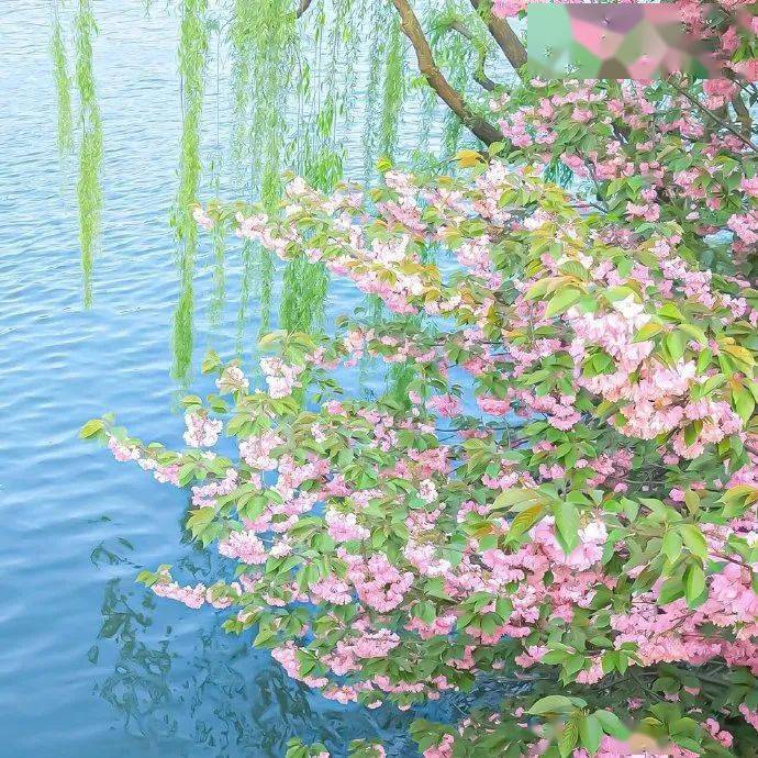 背景图 | 是背景图呀 676767_生命_寻的_永生