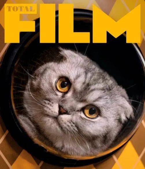 电影看粤语还是英文?_周处除_特工_通缉犯