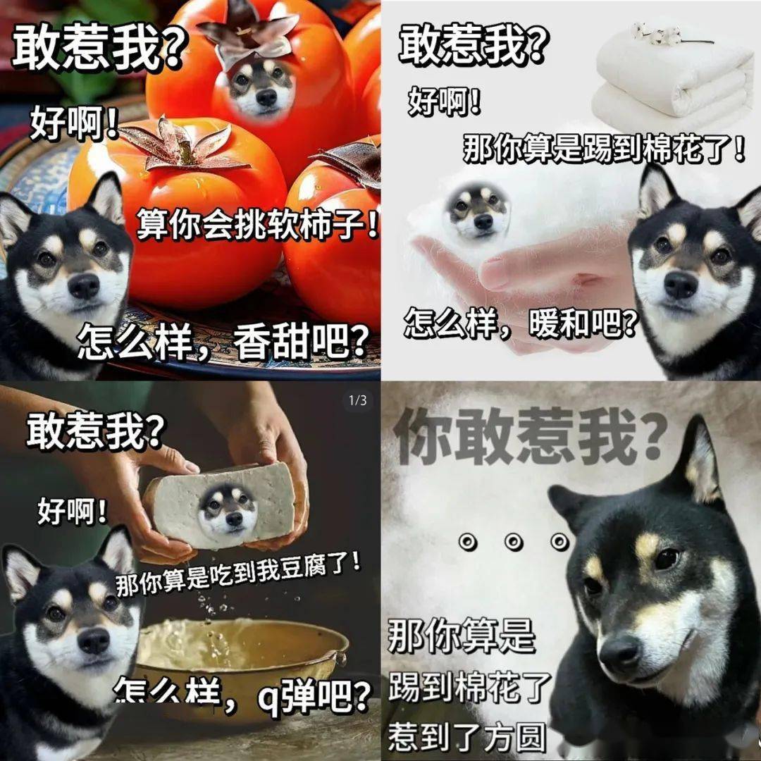 "窝囊废文学"里的生活法则,让多少人汗流浃背了_年轻人_时刻_底线