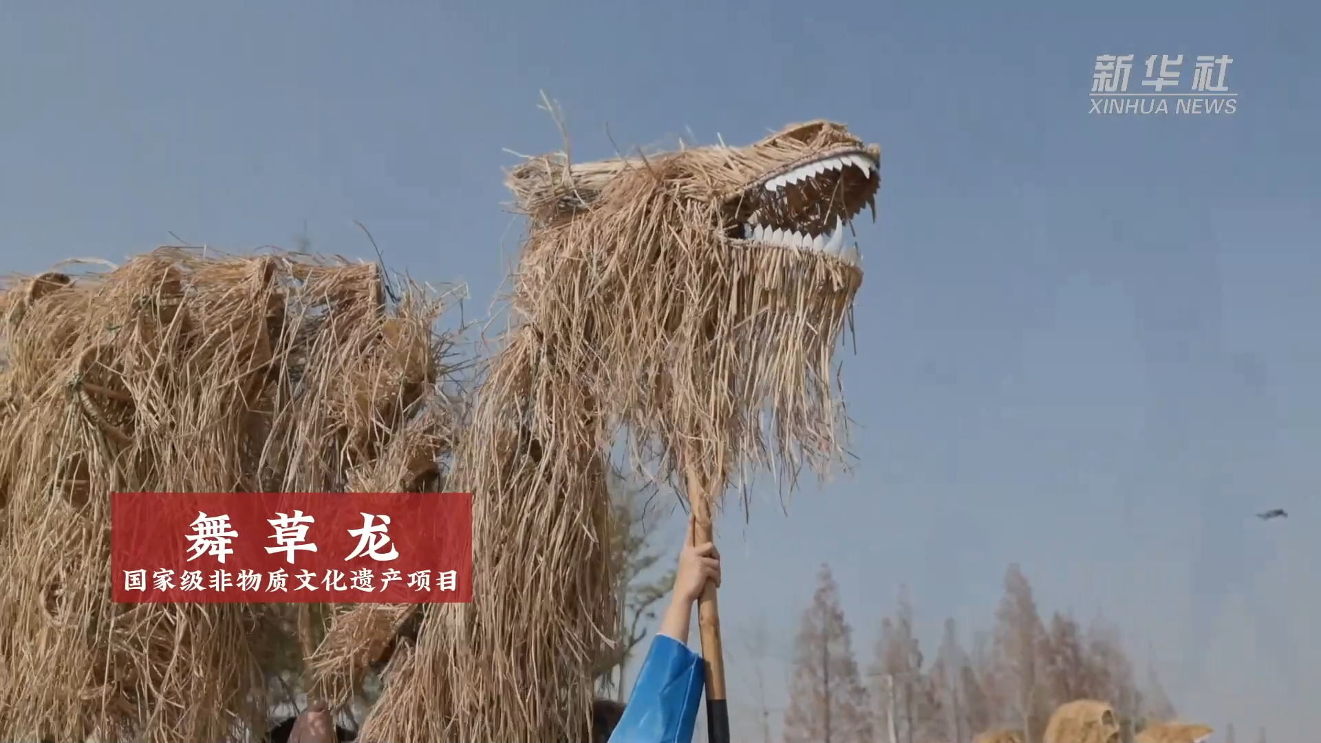 大美非遗|舞草龙 花篮马灯舞 松江皮影戏:舞动新春_上海_项目_新浜镇
