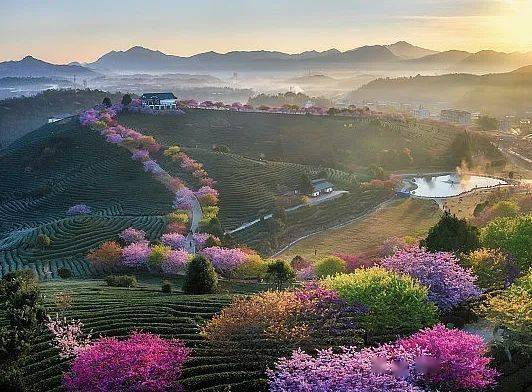 散文荐读 | 最温暖的依靠_姥姥_小山村_大山